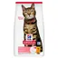 Adult Light poulet Hill's Feline Croquettes pour chat