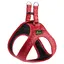 Harnais HUNTER Love, rouge - taille XS : tour de poitrail 33-37 cm