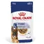 Maxi Ageing Royal Canin - Nourriture pour chien