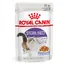 Sterilised en gelée Royal Canin - Pâtée pour chat