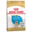 Puppy Labrador Retriever Royal Canin Breed - Croquettes pour chiot