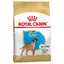 Boxer Puppy Chiot Royal Canin - Croquettes pour chien
