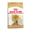 Royal Canin Berger allemand Adult 5+ - Croquettes pour chien