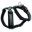 Harnais HUNTER Maldon, noir / gris tour de poitrail 47-69 cm x l 2 cm - pour chien