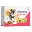 Poulet, carottes Bouchées en sauce Briantos nourriture humide pour chien