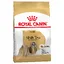 Shih Tzu Adult Royal Canin Breed - Croquettes pour Chien