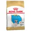 Bouledogue Français Puppy/Junior Royal Canin - Croquettes pour chiot