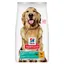 Adult 1+ Perfect Weight Large poulet Croquettes Hill's Science Plan pour chien