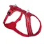 Harnais Curli Belka Comfort rouge pour chien - taille M : tour de poitrail 66 - 70 cm