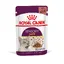 Sensory Taste en sauce Royal Canin - Pâtée pour chat