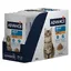 Advance Croquettes Au Poulet Pour Chatons Croquettes Humides Pour