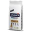 Lot Affinity Advance Maxi pour chien - German Shepherd (2 x 12 kg)