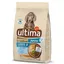 Ultima Medium/Maxi Junior, poulet - 3 kg