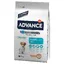 Mini Puppy Affinity Advance - Croquettes pour chien