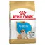 Bouledogue Puppy/Junior Royal Canin - Croquettes pour Chien