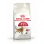 ROYAL CANIN Fit 32 Croquettes Chat 4 kg