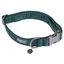 Collier Nomad Tales Blush, émeraude pour chien  - taille S : tour de cou 30 - 46 cm, l 15 mm