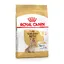 Royal Canin Yorkshire Terrier Adult 8+ - Croquettes pour chien