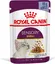 Royal Canin Sensory Smell pâtée en gelée pour chat