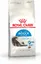Royal Canin Indoor Long Hair-Indoor Long Hair