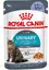 ROYAL CANIN Urinary Care en Gelée ? Pâtée pour chat-