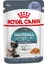 ROYAL CANIN Hairball Care en Gelée ? Pâtée pour chat-