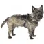 Harnais Easy Safe BOBBY Noir - Plusieurs tailles disponibles 
