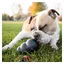Jouet Extreme KONG - Jouet à mâcher ultra-résistant pour chien