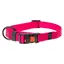 Karlie Collier réglable nouvelles couleurs universelles Mix and Match (M, Chien, Promenade), Collier + laisse