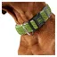 Hunter Collier Hilo Vario Basic M 40-60 Cm
