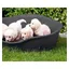 Corbeille Plastique Pour Chien Sleeper 45Cm Gris Anthracite