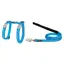 Red Dingo Poitrail-Sangle Chat Style Étoile Blanche Et Turquoise