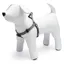Karlie ASP+ Harnais 1-2-3 Step&Go (Chien, Général), Collier + laisse