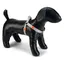 Beeztees BZ NY GESCH GRIS CLAIR UNI 35-60 (Chien, Gnral), Collier + laisse