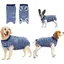 Gilet anti-léchage pour chiens et chats après une opération chirurgicale Label