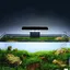 Lampe LED étanche pour aquarium - Slim Led Aquarium Light - Noir - Poisson deau froide - Eclairage-keeper