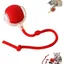 Balle interactive pour chat jouet électrique rechargeable USB 3 modes travail .