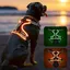 Harnais pour Chien Harnais Lumineux réglable pour Chiens de PetiteMoyenne et Grande TailleHarnais Lumineux Anti-Traction pour