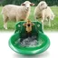 Abreuvoir pour moutons Abreuvoir pour bovins Abreuvoir automatique pour chèvres Distributeur deau de grande capacité Label