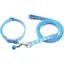 Ensemble Collier Et Laisse pour Petit Chien Collier pour Chien Et Laisse Colliers Et Laisse Réglables (bleu)