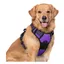 Harnais Chien XL Arnais Violet Anti Traction Réfléchissant Gilet Réglable pour Chien Grand Taille, Attache Devant Crochet de Laisse