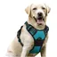 rabbitgoo Harnais Chien Anti Traction XL Vert Foncé Arnais Réfléchissant Gilet Réglable pour Chien Attache Devant Crochet de Laisse