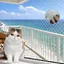 Filet de Protection Chat en Nylon 8 x 3 m Filet Chat Balcon Protection Fenetre Chat Filet Protection Chat pour 8x3m Blanc