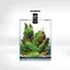 Aquael Nano Aquarium Smart D&N 20 ECOM Noir - Kit crevettes 20L LED 48W filtre 320 l/h