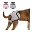 2 Pièces 33-50CM Couche Réutilisable Pour Chien Culotte Physiologique Culotte Hygiénique Lavable Short Absorbant - Type