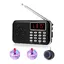 Kit DÉquipement Spirit Box 4 Pièces avec 2 Boules LED pour Chat et 1 Haut-Parleur Spirit Box Équipement Paranormal pour la