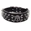 Collier pour chien à pointes en similicuir dalligator noir avec tête de mort et os croisés réglable Label