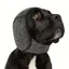 Casque antibruit réglable gris – Taille S – Protection auditive pour animaux et environnements sensibles