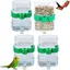 4 Pièces Distributeur d'animaux de Compagnie Automatique Distributeur d'eau Plastique Transparent Abreuvoir À Oiseaux Automatique