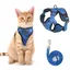 Gilet harnais et laisse chaton respirant - Réglable et souple promenade extérieur sécurité Label